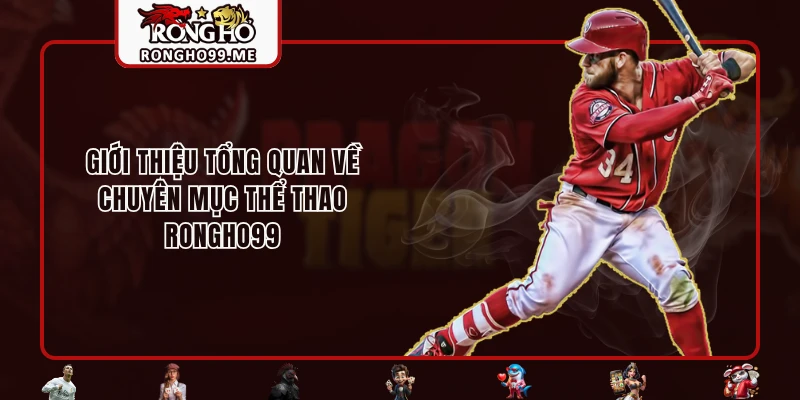 Giới thiệu tổng quan về chuyên mục Thể Thao RONGHO99