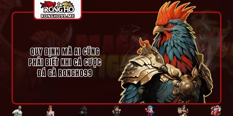 Quy định mà ai cũng phải biết khi cá cược Đá Gà RONGHO99