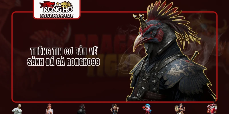 Thông tin cơ bản về sảnh Đá Gà RONGHO99